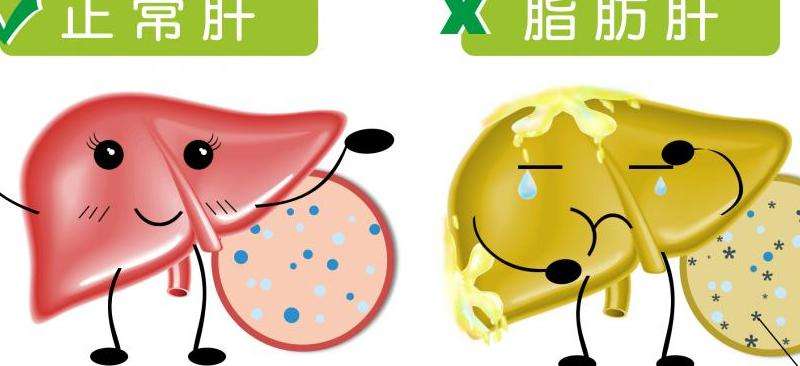 代肝解读 Discord代肝是什么意思？